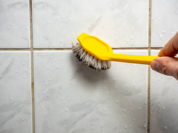 Best DIY Mold Remediation Support Services in Catonsville, MD