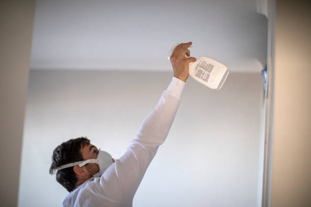 Best Attic Mold Remediation in Catonsville, MD