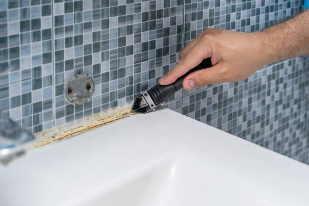 Best Industrial Mold Remediation in Catonsville, MD